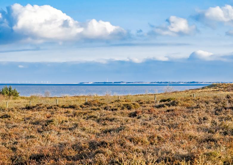 Ferienwohnung "Sönshörn 16" in Munkmarsch auf Sylt