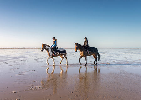 Reisen Sie mit Hund - Sylt-Luxus Ferienwohnungen